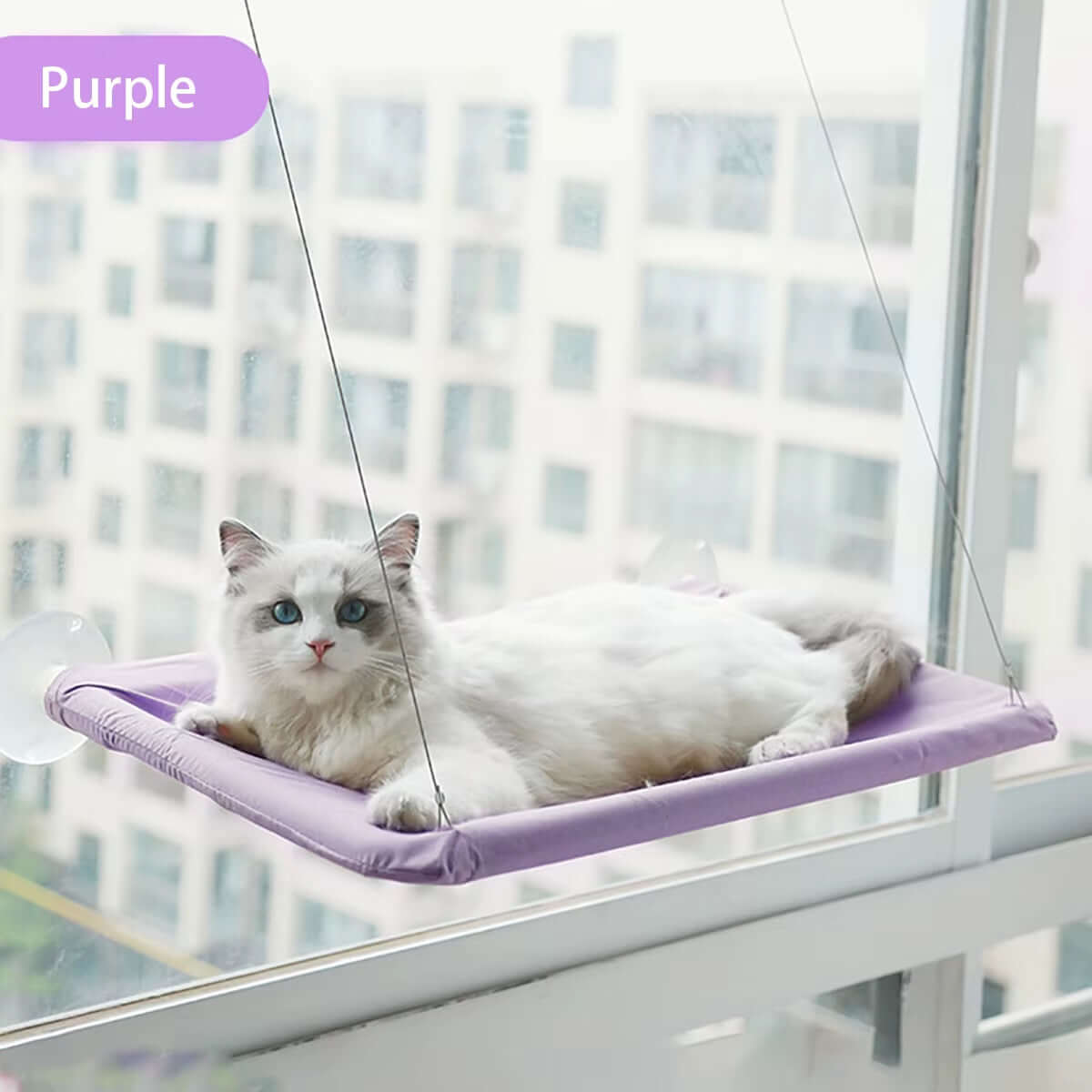 TAILSOFHOME SunBasker Window Hammock Seat for Cats