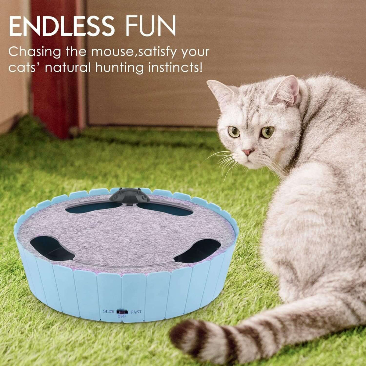 Interactive Electronic TAILSOFHOME Interactive Electronic Cat Toy for CatsCat Toy