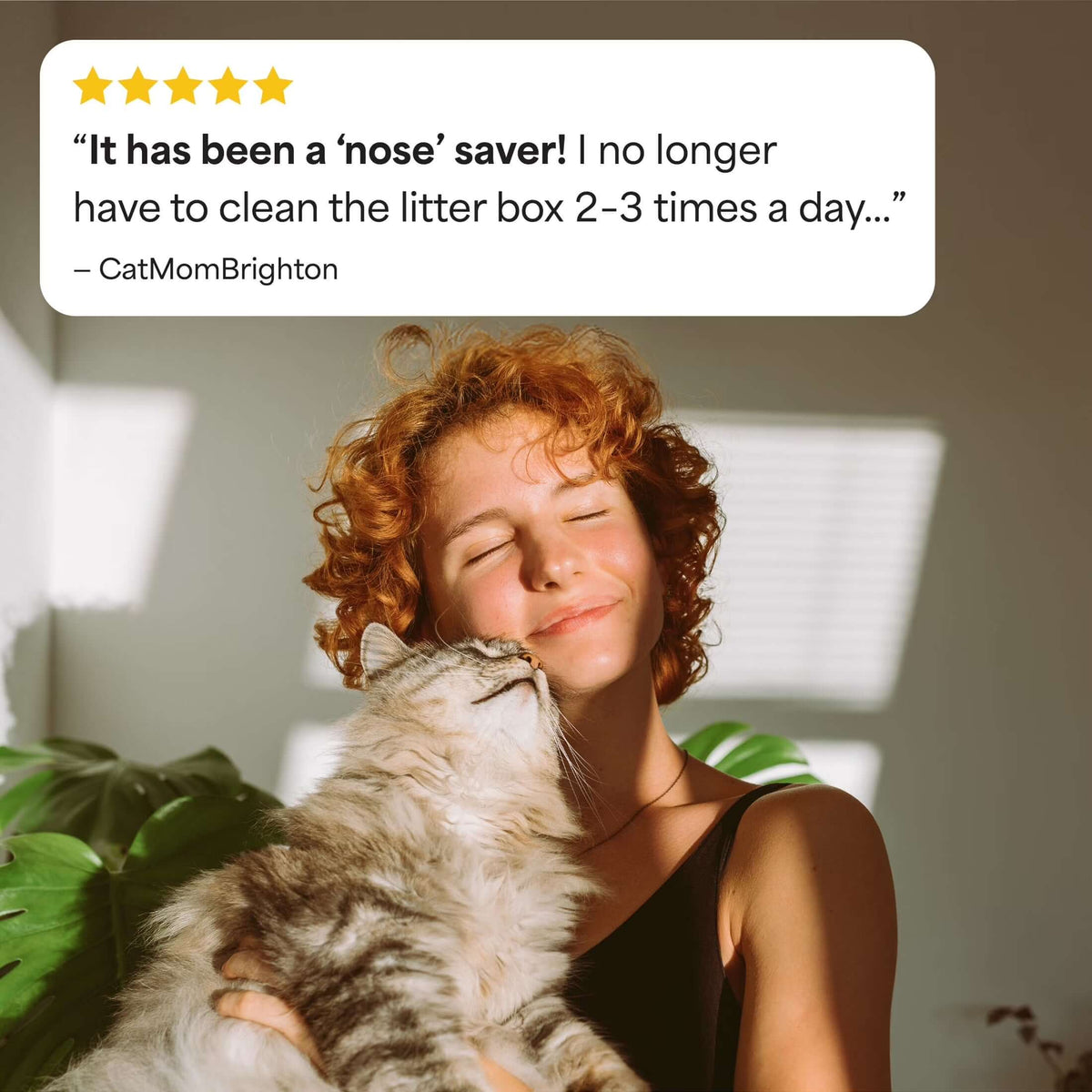 Simply Multi-Cat Clumping CTAILSOFHOME transparent cat carrier backpack for small pets and puppiesat Litter, Unscented, 14 Lb Box