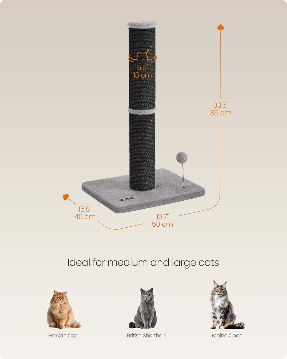 Cat Scratching Post SisalTAILSOFHOME transparent cat carrier backpack for small pets and puppies