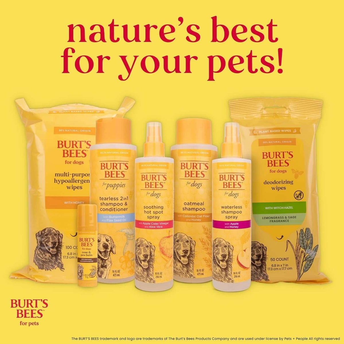 Waterless Shampoo Spray for Dogs, Apple & TAILSOFHOME transparent cat carrier backpack for small pets and puppiesHoney, No-Rinse Dry Dog Shampoo for All Dogs and Puppies, Ph Balanced, No Sulfates, Parabens, Phthalates, 10 Fl Oz