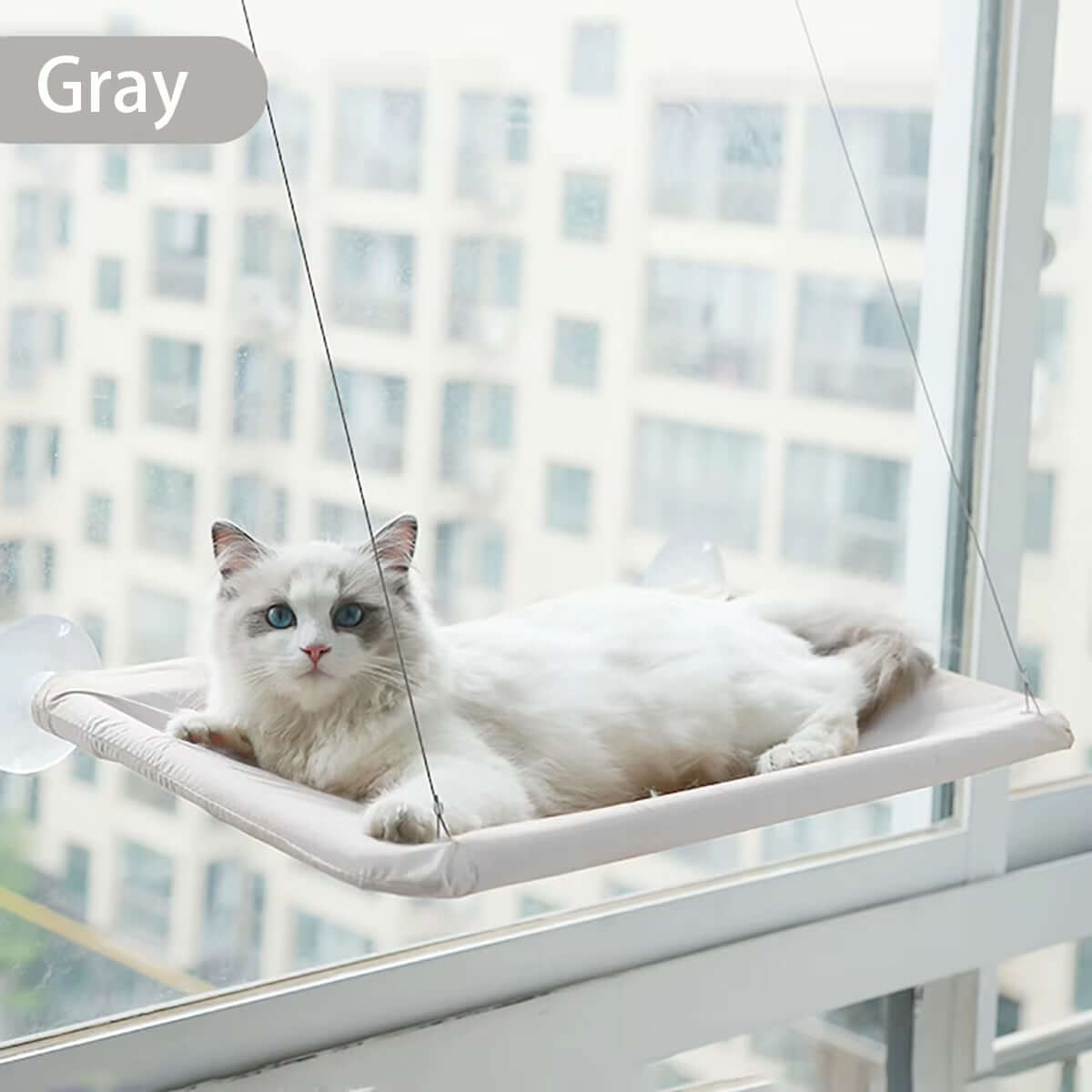 TAILSOFHOME SunBasker Window Hammock Seat for Cats