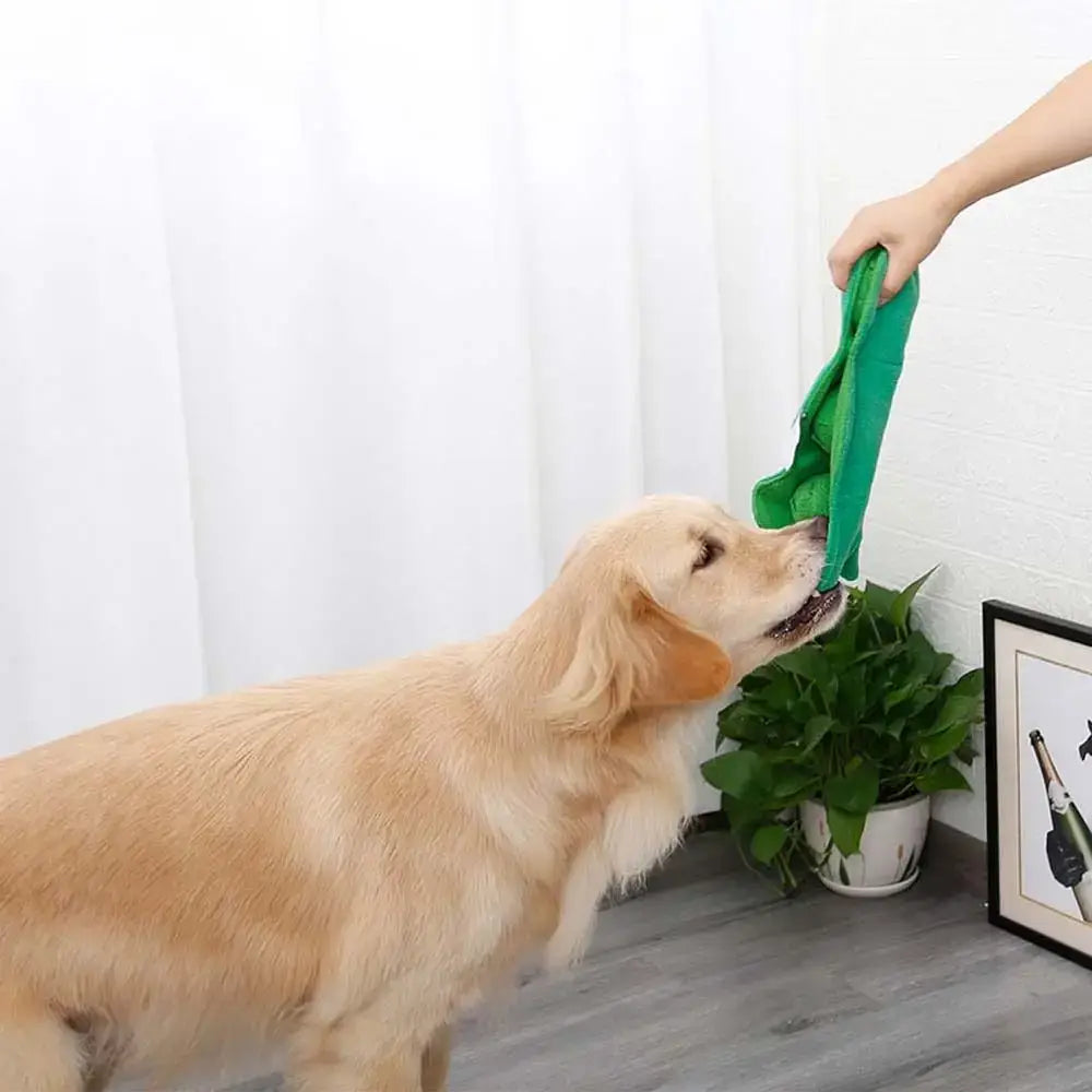 TAILSOFHOME Sniffing Squeaky Treat Dispenser Dog Puzzle Toy