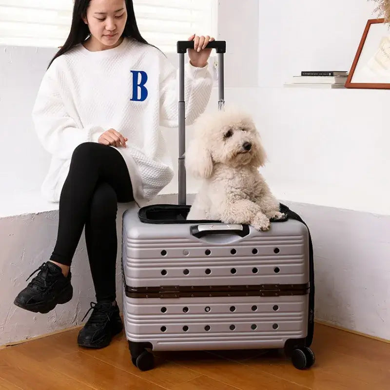 TAILSOFHOME Your Privacy Choices and Data Preferences