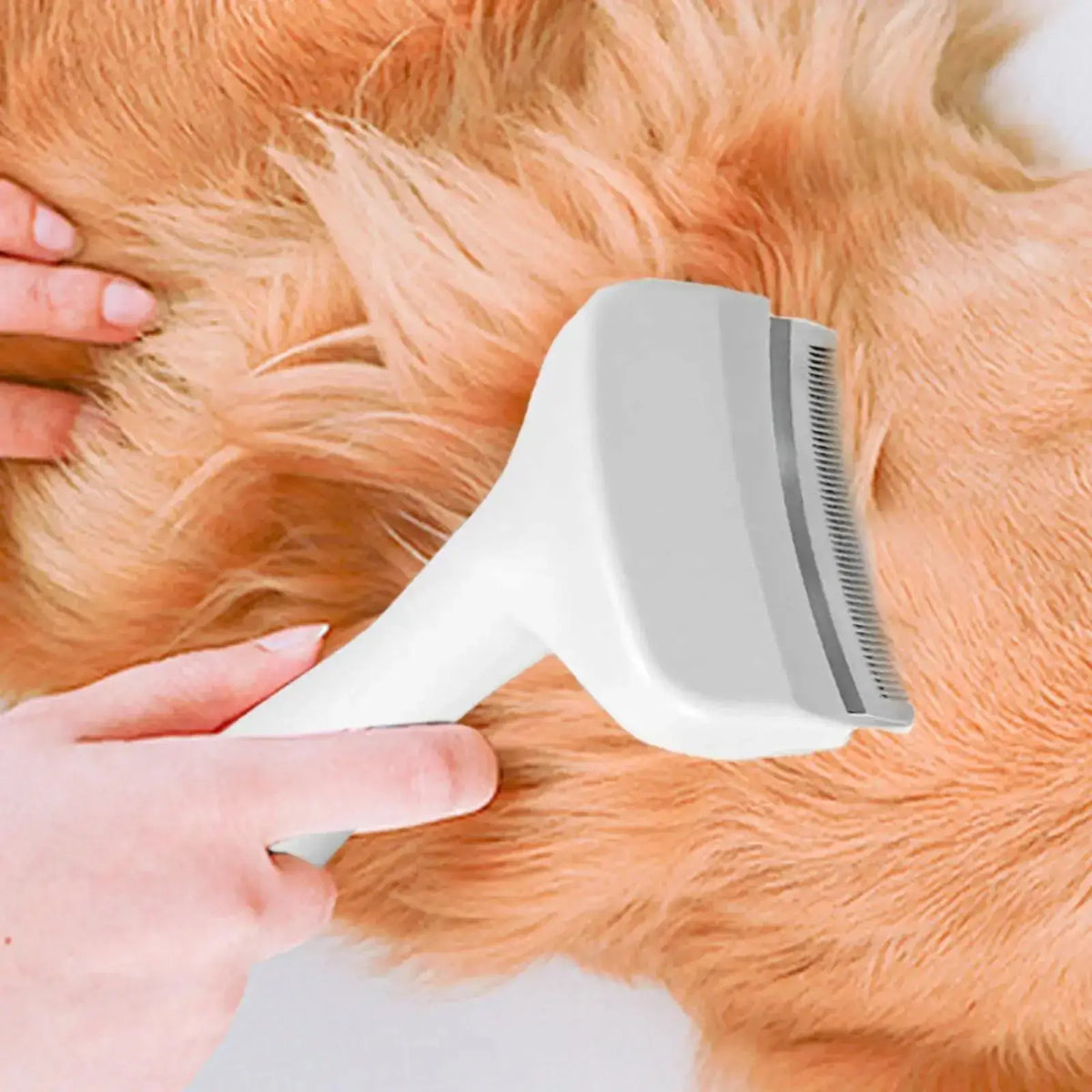 TAILSOFHOME Slicker Brush for Dogs Cats Puppies and Kittens