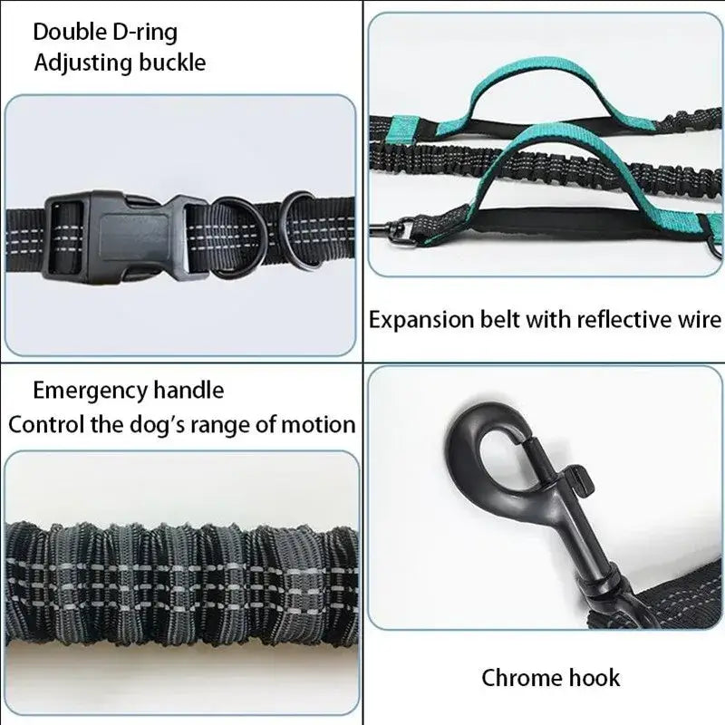 TAILSOFHOME Retractable Hands-Free Reflective Dog Leash