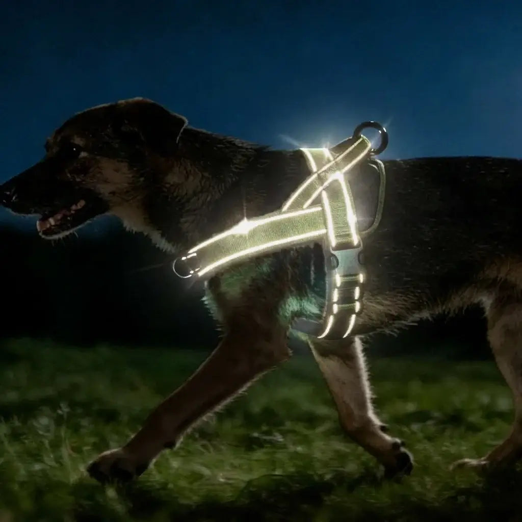 TAILSOFHOME Tactical No-Pull Reflective Dog Harness for Large Dogs
