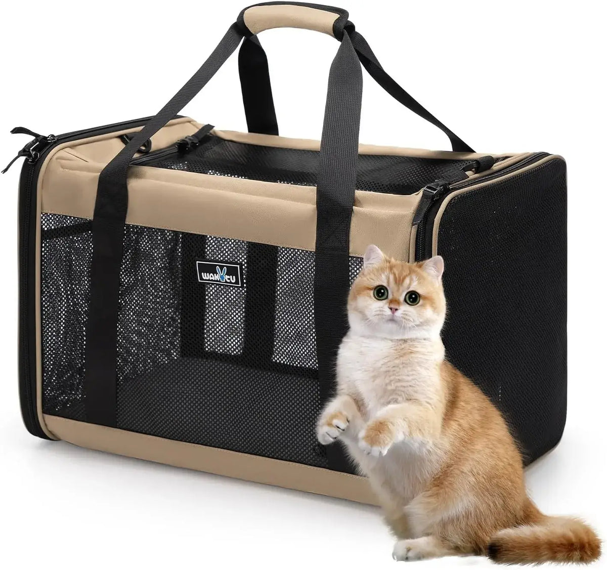 TAILSOFHOME Your Privacy Choices and Data Preferences