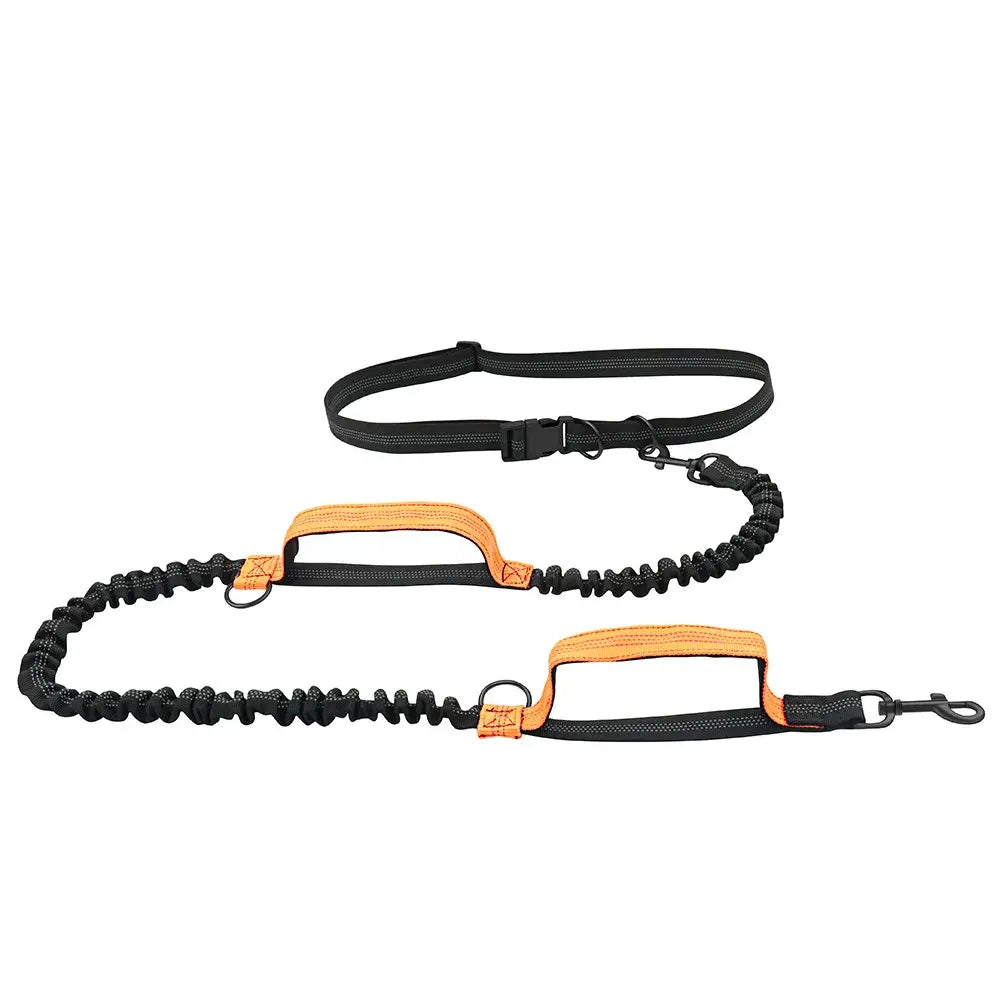 TAILSOFHOME Retractable Hands-Free Reflective Dog Leash