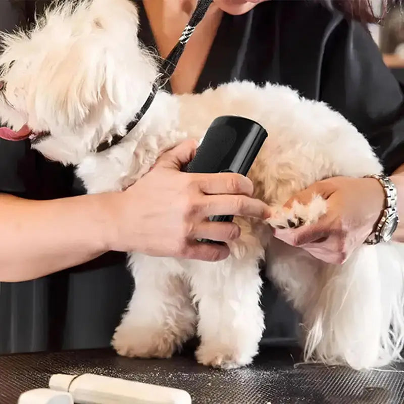 TAILSOFHOME Pet Deshedding Brush | Dog & Cat Grooming