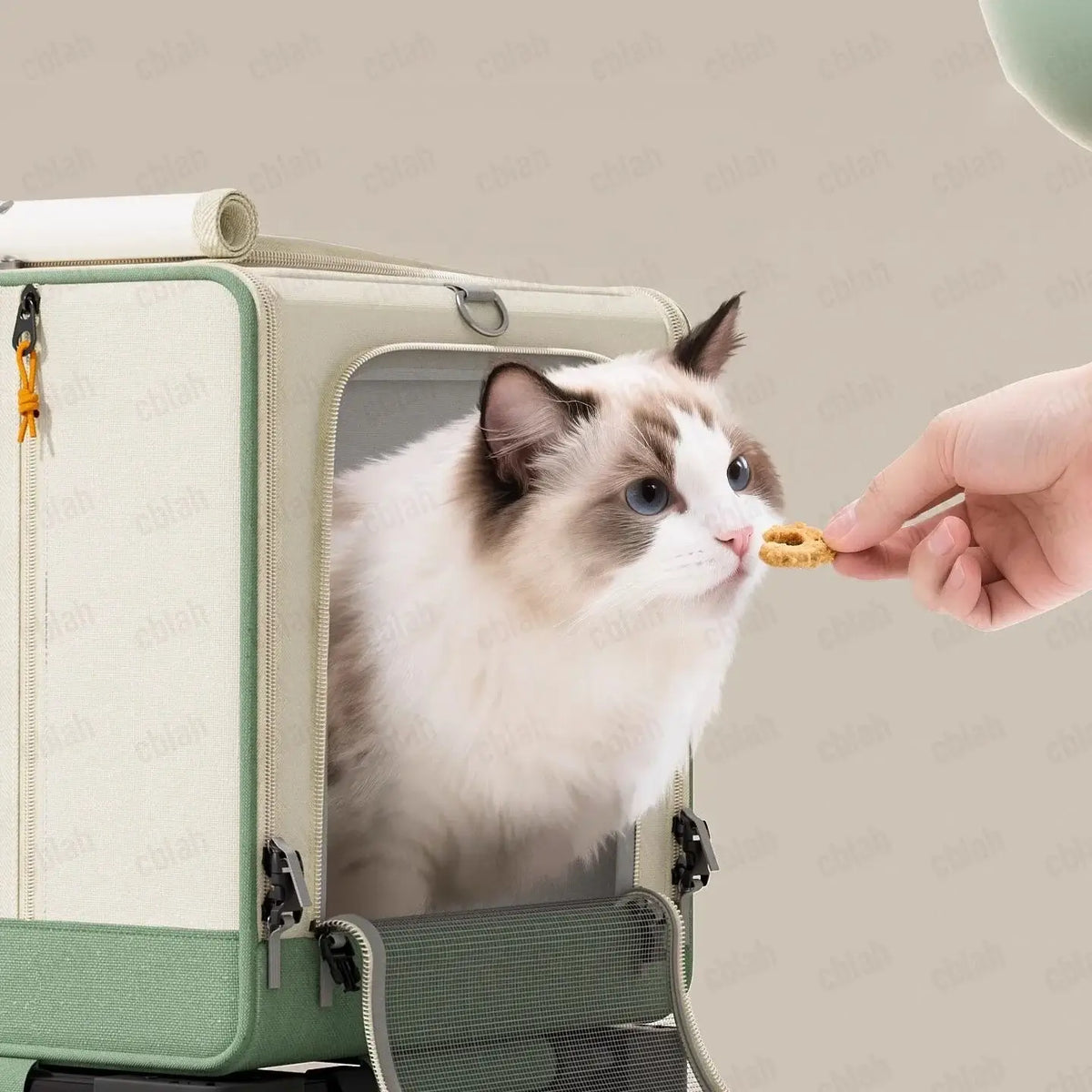 TAILSOFHOME Your Privacy Choices and Data Preferences