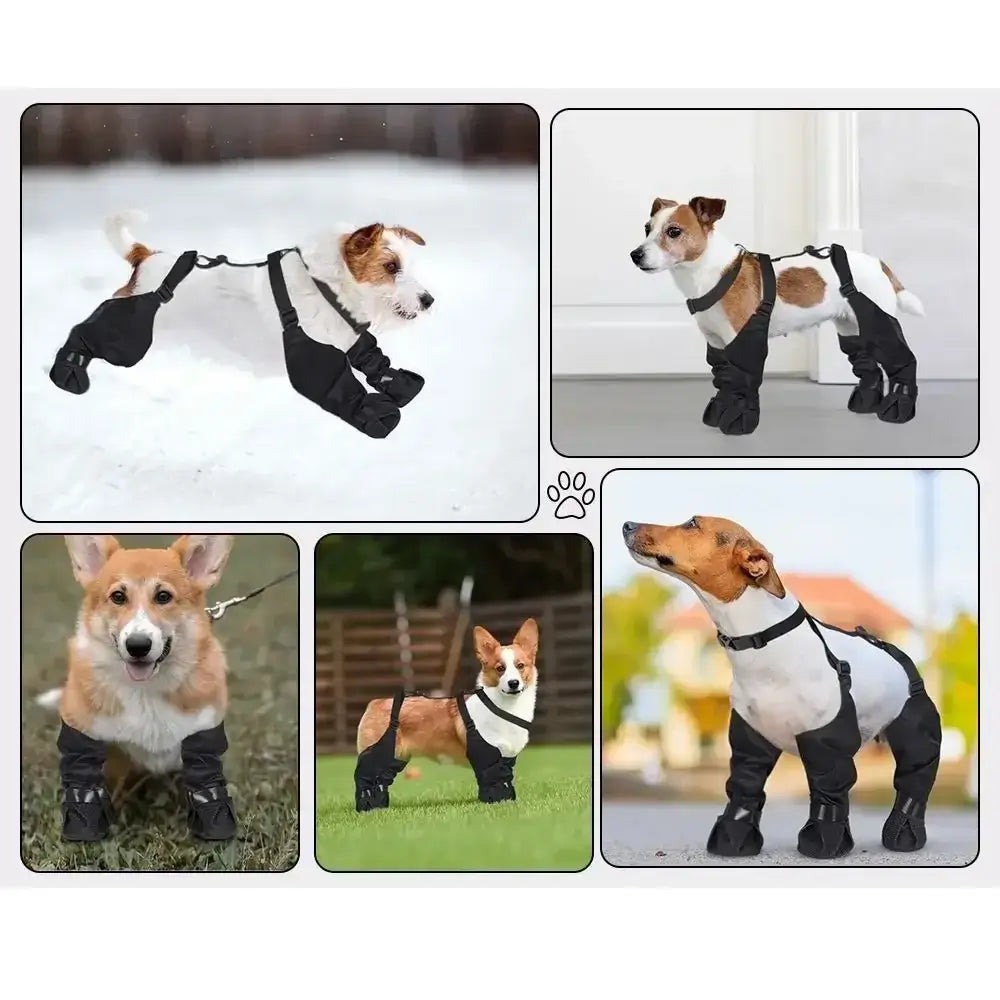 TAILSOFHOME Waterproof Adjustable Anti-Slip Dog Rain Boots
