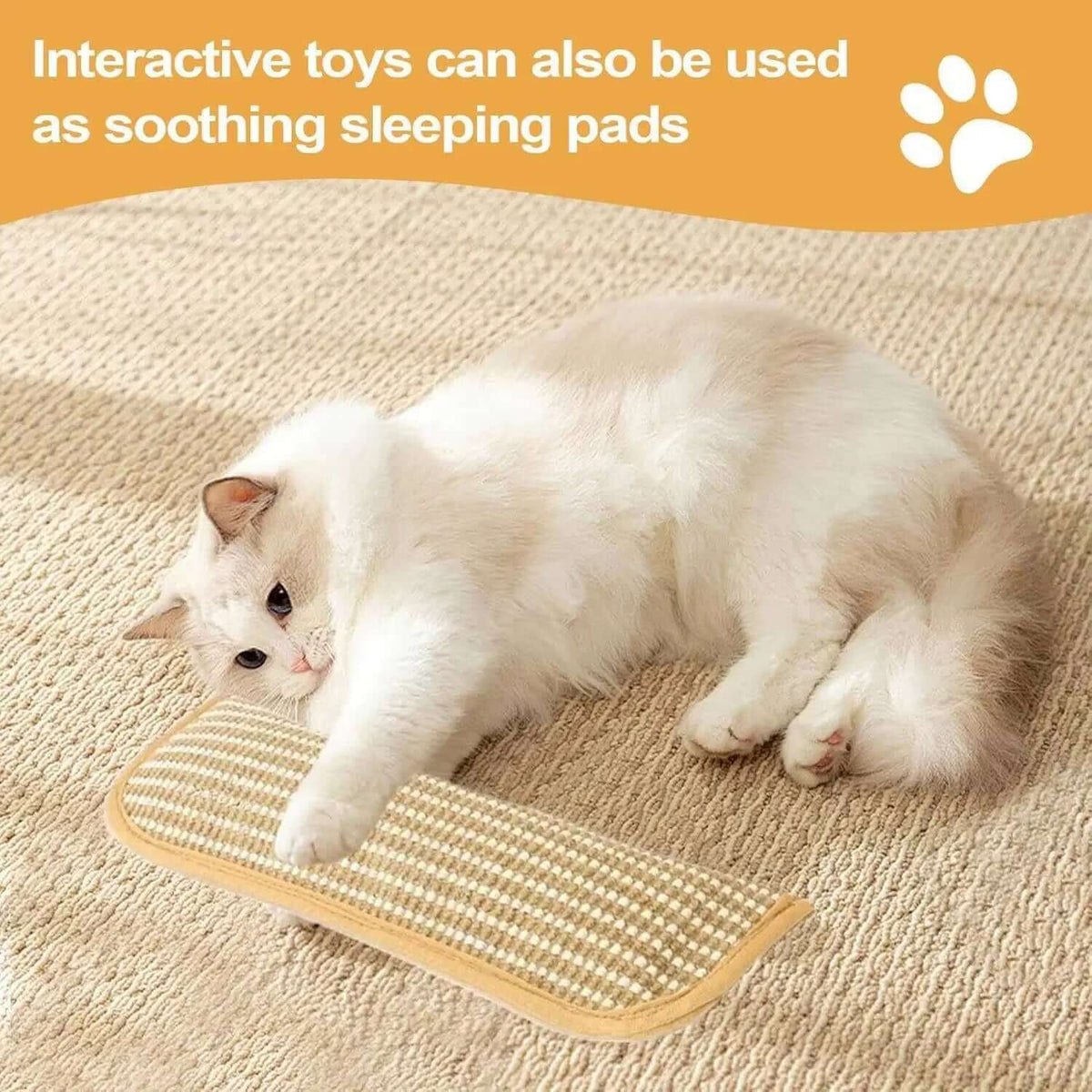 Catnip Interactive TAILSOFHOME transparent cat carrier backpack for small pets and puppiesScratcher Toy