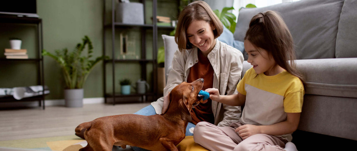 TAILSOFHOME guide to 10 must-have pet products for cats and dogs