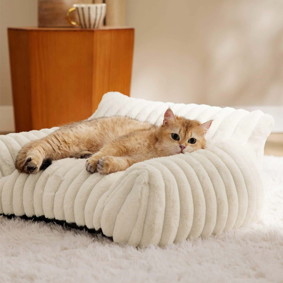 TAILSOFHOME comfortable pet beds furniture and resting essentials for cats and dogs