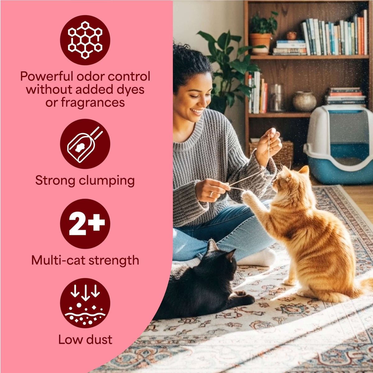 Simply Multi-Cat Clumping Cat LTAILSOFHOME transparent cat carrier backpack for small pets and puppiesitter, Unscented, 14 Lb Box