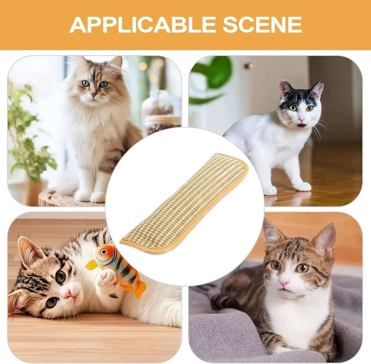 Catnip IntTAILSOFHOME transparent cat carrier backpack for small pets and puppieseractive Scratcher Toy