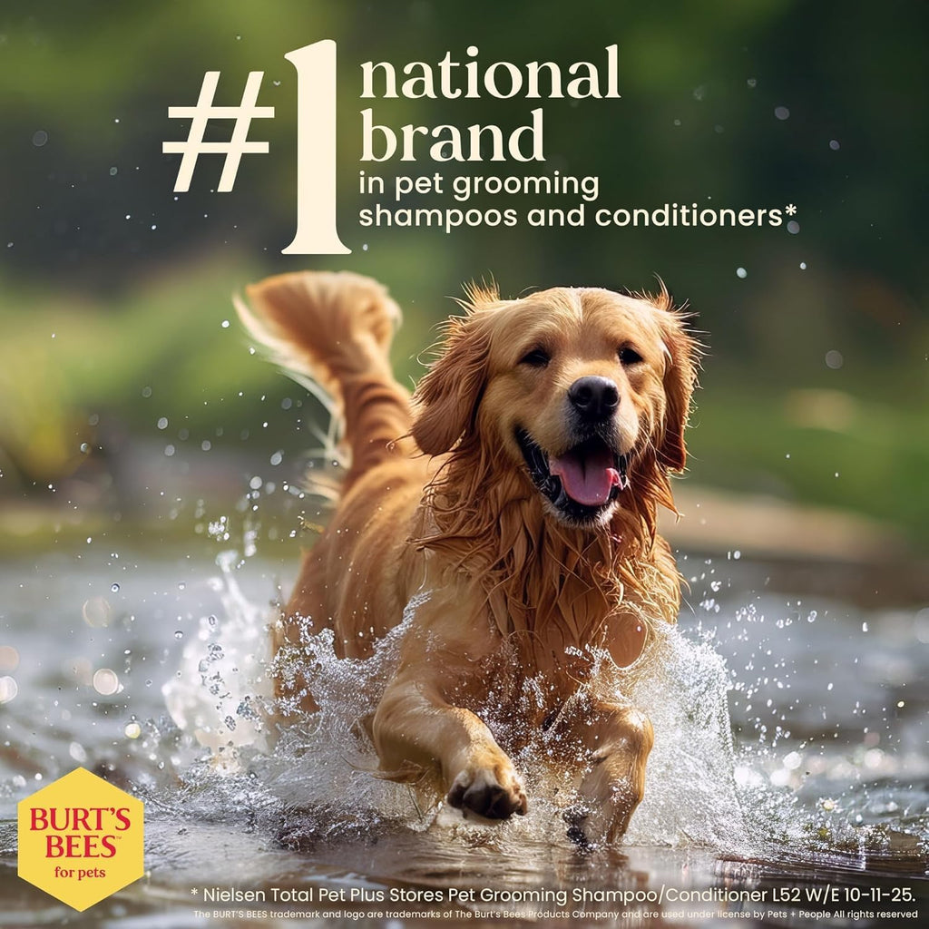 Deodorizing Dog Shampoo Apple Rosemary 95 Percent Natural Ph Balanced Sulfate-Free Smelly Dogs 16 FL OZ 2 Pack