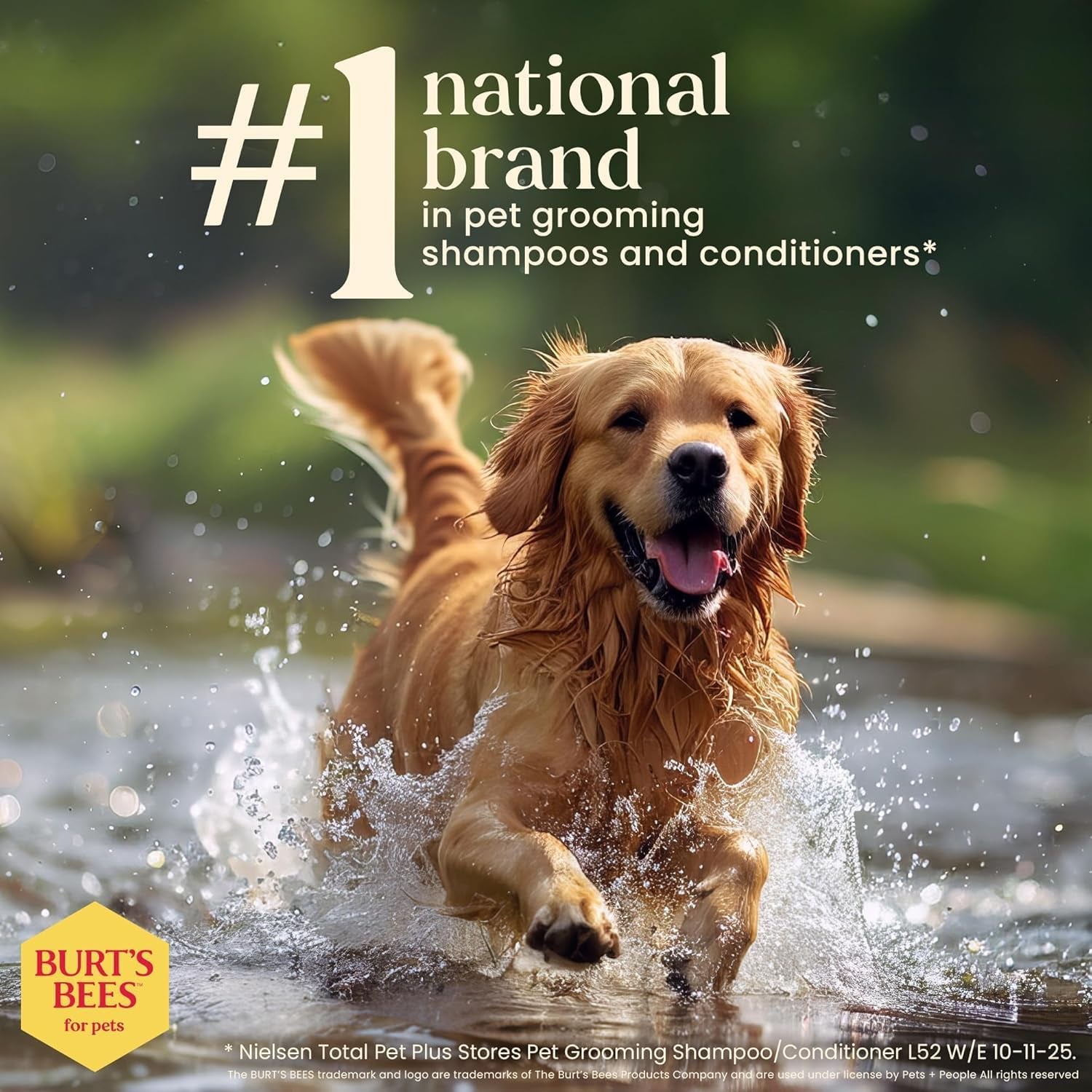 Deodorizing Dog Shampoo Apple Rosemary 95 Percent Natural Ph Balanced Sulfate-Free Smelly Dogs 16 FL OZ 2 Pack