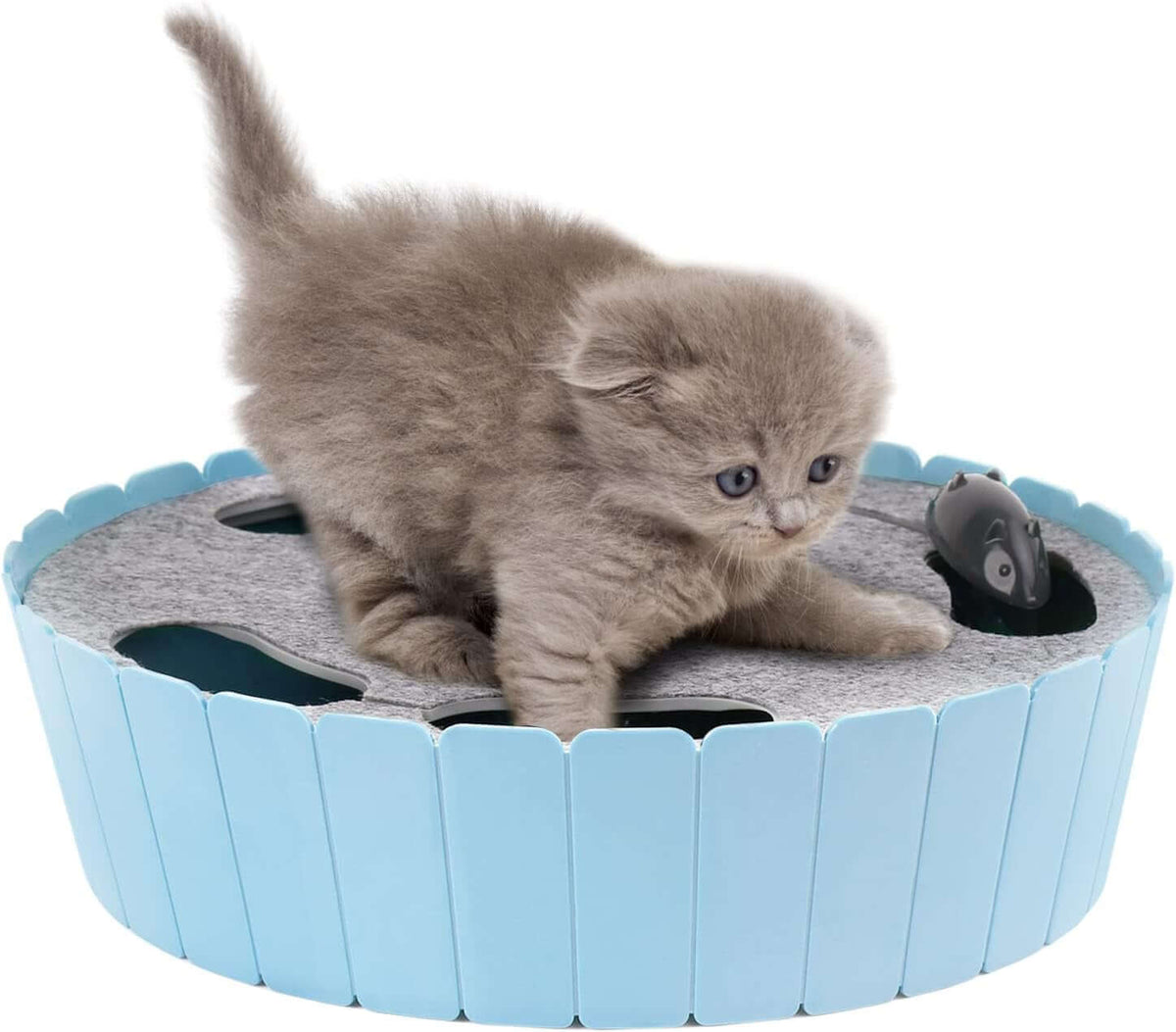 Interactive ElectrTAILSOFHOME Interactive Electronic Cat Toy for Catsonic Cat Toy