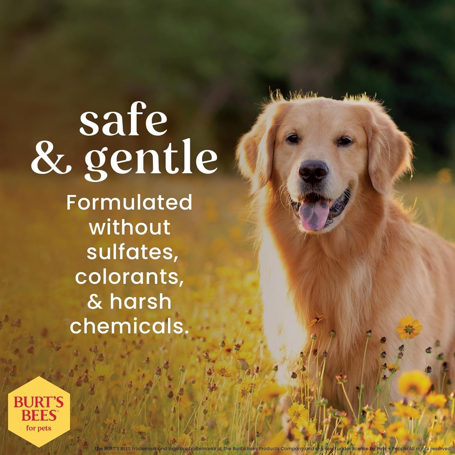 Deodorizing Dog Shampoo Apple Rosemary 95 Percent Natural Ph Balanced Sulfate-Free Smelly Dogs 16 FL OZ 2 Pack
