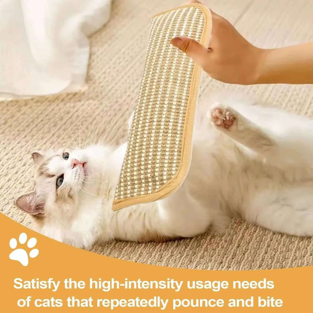 Catnip Interactive ScrTAILSOFHOME transparent cat carrier backpack for small pets and puppiesatcher Toy