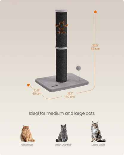 Cat Scratching Post SisalTAILSOFHOME transparent cat carrier backpack for small pets and puppies