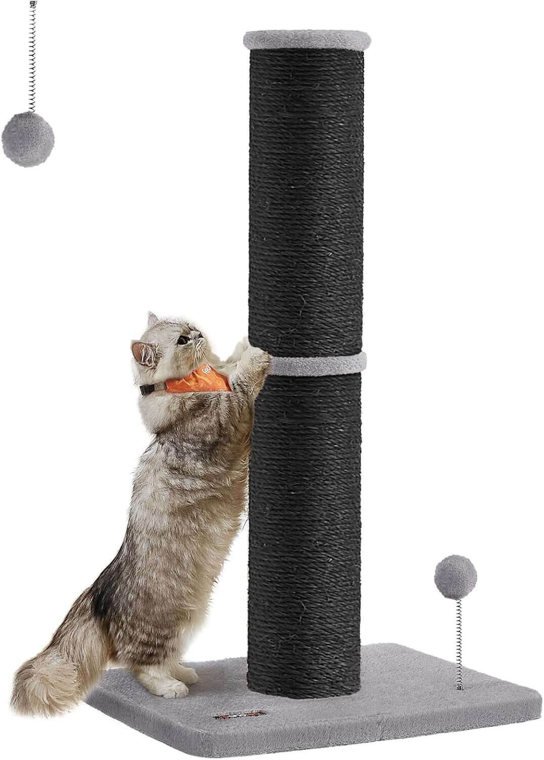 Cat Scratching TAILSOFHOME transparent cat carrier backpack for small pets and puppiesPost Sisal