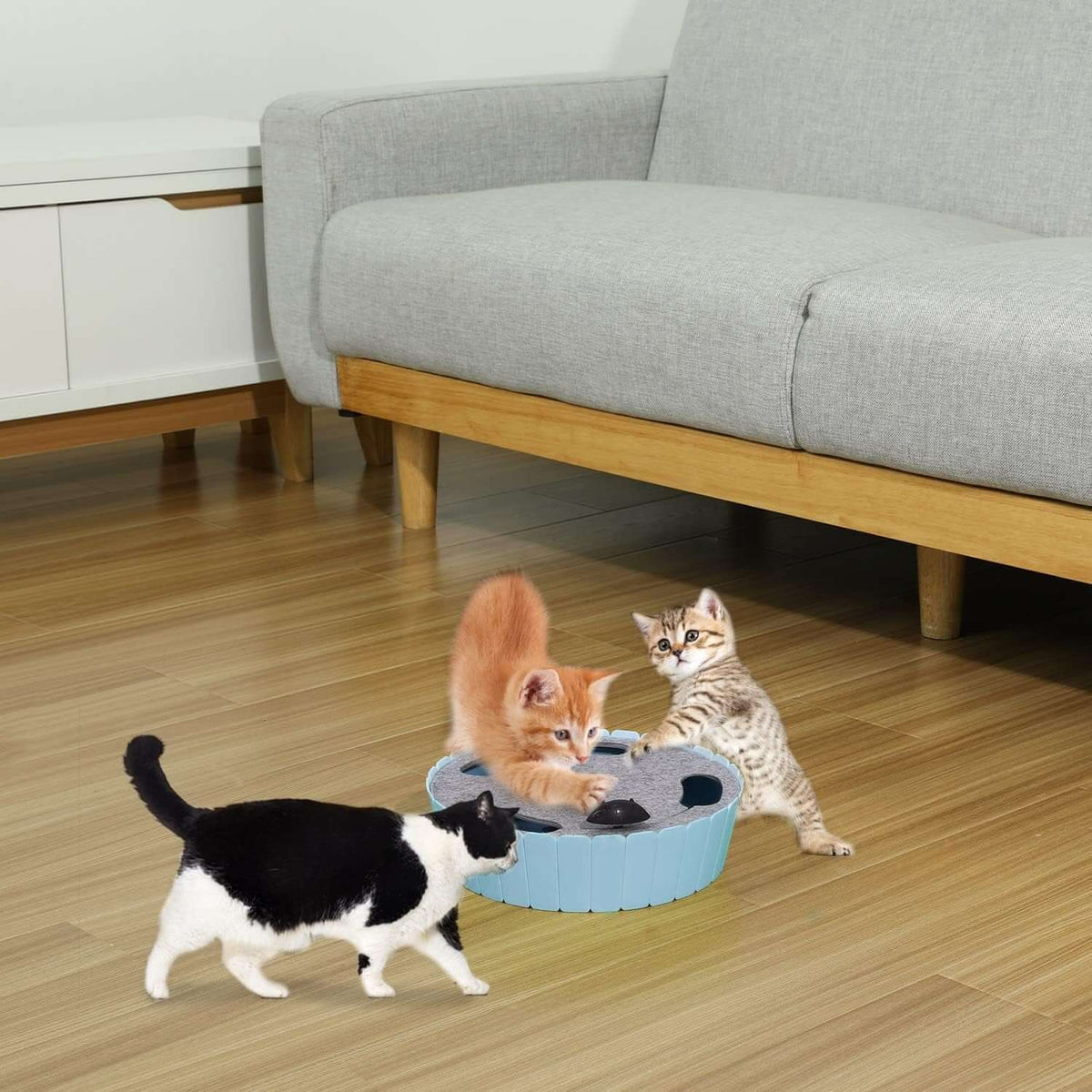 Interactive Electronic Cat ToyTAILSOFHOME Interactive Electronic Cat Toy for Cats