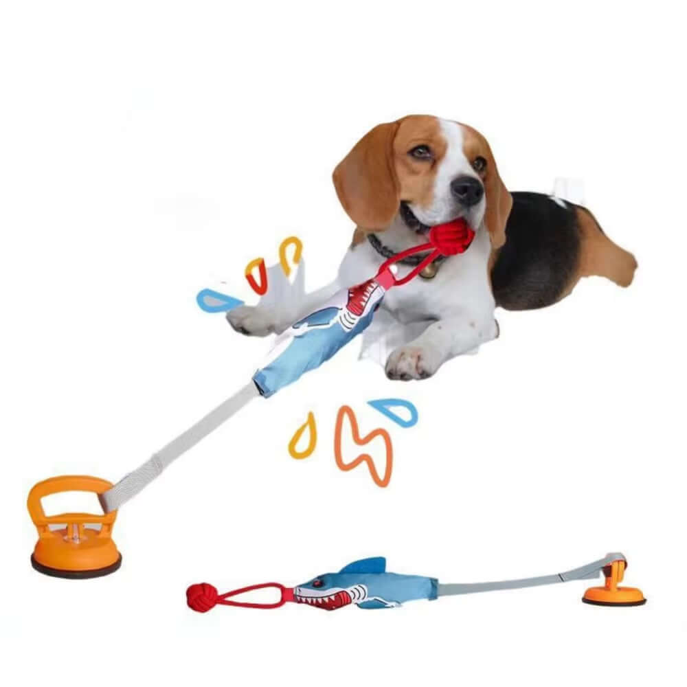 Dog Tug Rope ToyTAILSOFHOME cozy hanging hammock bed for hamsters, rats and guinea pigs
