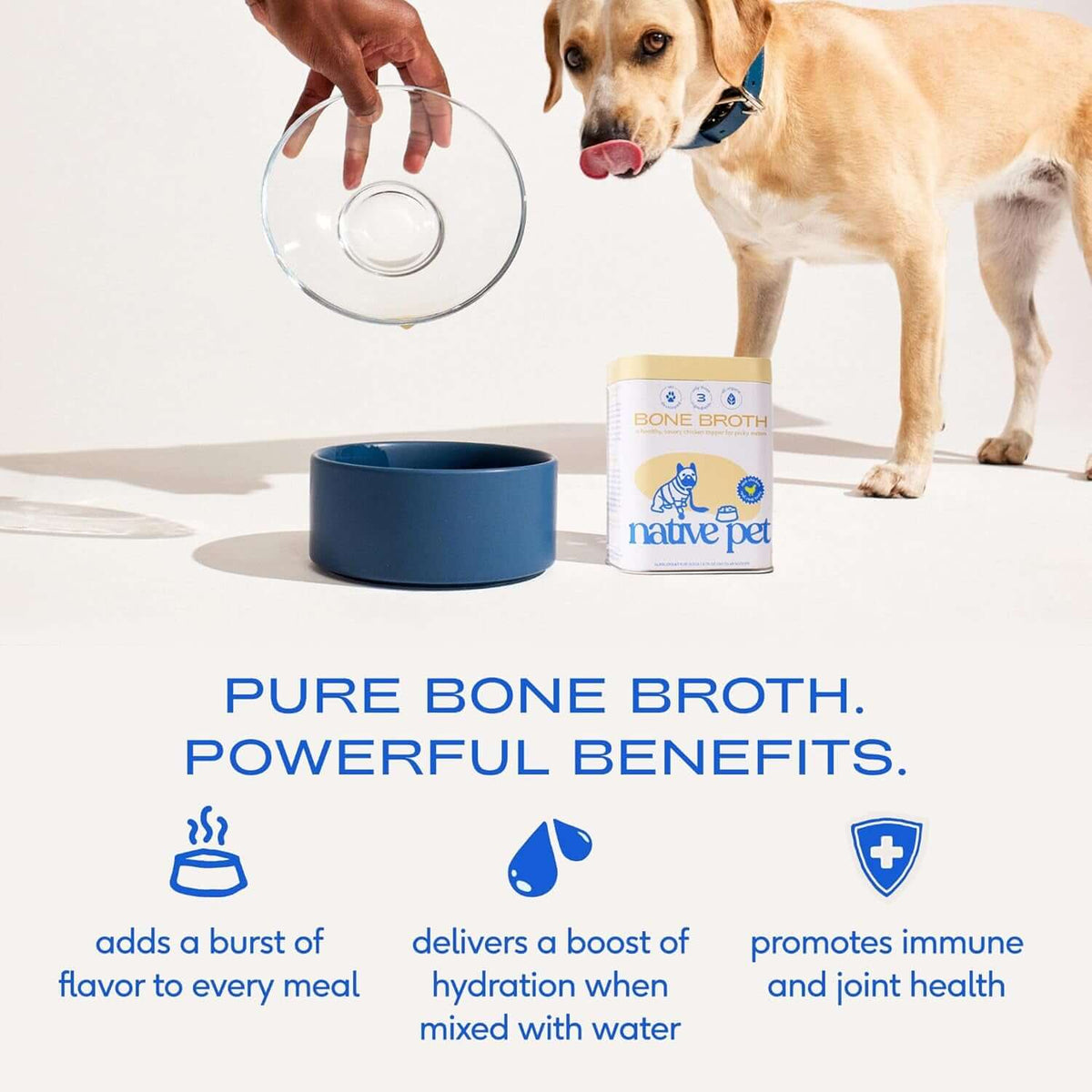 Bone Broth for Dogs andTAILSOFHOME Chicken Bone Broth Powder dog and cat food topper Cats - Chicken Bone Broth Powder Dog Food Toppers for Picky Eaters - Provides Extra Nutrition for Joint Strength, Immune Support &amp; Heart Health - 96 Scoops