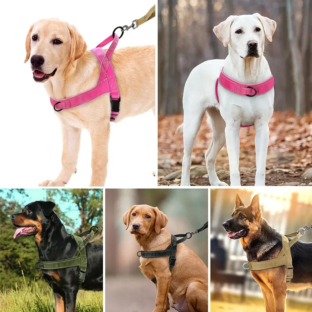 TAILSOFHOME No-Pull Reflective Nylon Dog Harness with Handle