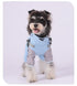 TAILSOFHOME transparent cat carrier backpack for small pets and puppies