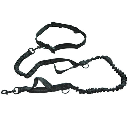 TAILSOFHOME Retractable Hands-Free Reflective Dog Leash