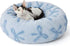 TAILSOFHOME transparent cat carrier backpack for small pets and puppies