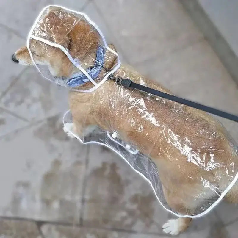 TAILSOFHOME transparent cat carrier backpack for small pets and puppies
