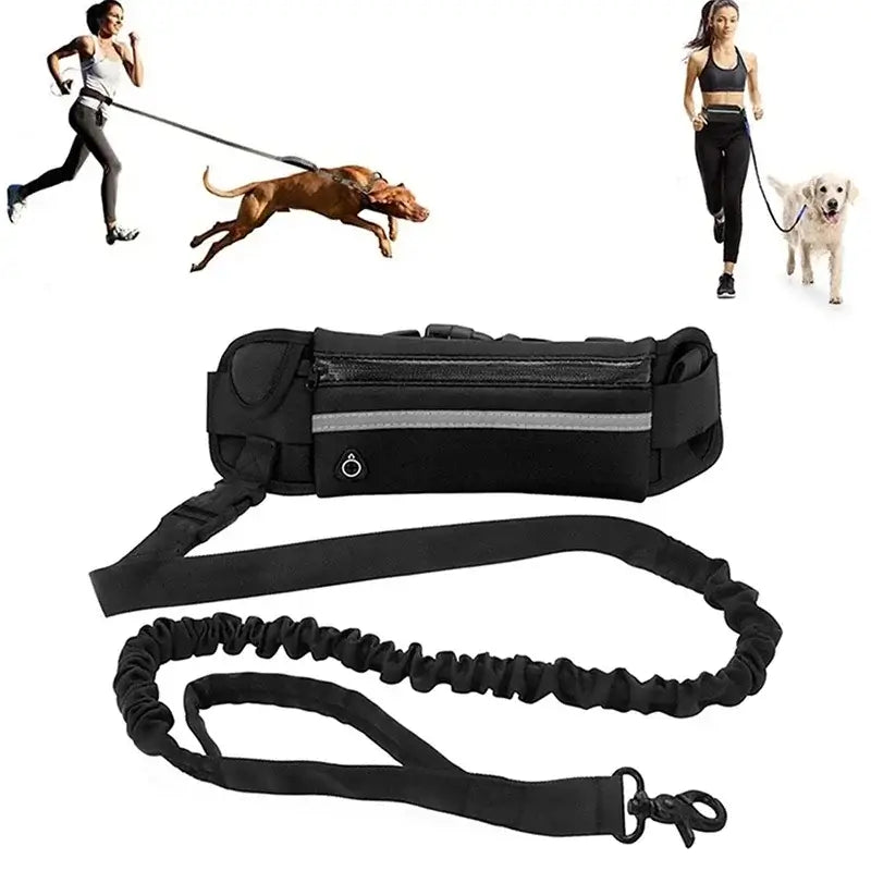 TAILSOFHOME Hands-Free Reflective Dog Leash with Waist Bag