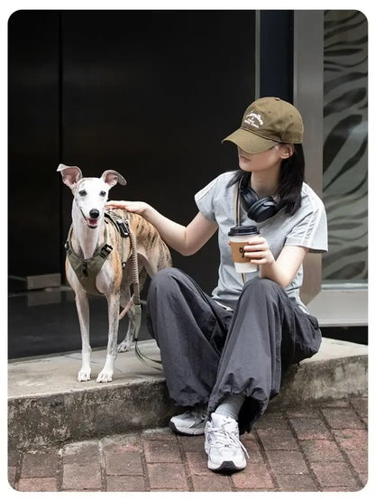 TAILSOFHOME Lightweight Breathable No-Pull Mesh Dog Harness