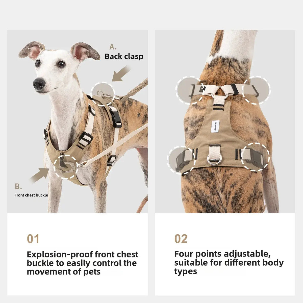 TAILSOFHOME Lightweight Breathable No-Pull Mesh Dog Harness
