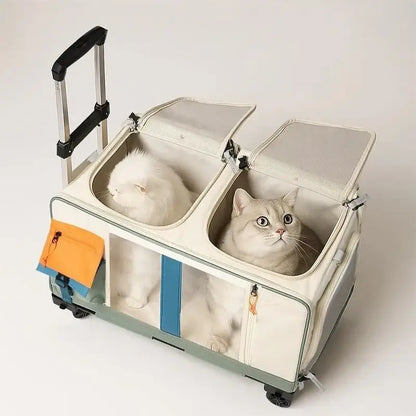TAILSOFHOME Your Privacy Choices and Data Preferences