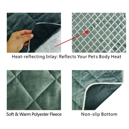 TAILSOFHOME transparent cat carrier backpack for small pets and puppies