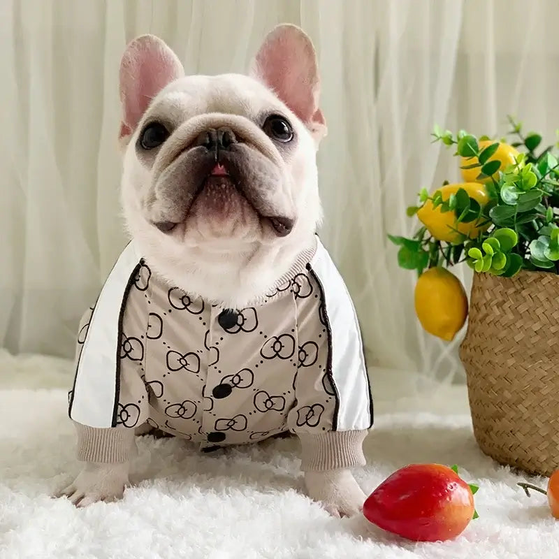 TAILSOFHOME Luxury Warm Winter Dog Jacket for Big Dogs