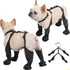 TAILSOFHOME Waterproof Anti-Slip Dog Boots with Rubber Sole