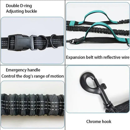 TAILSOFHOME Retractable Hands-Free Reflective Dog Leash