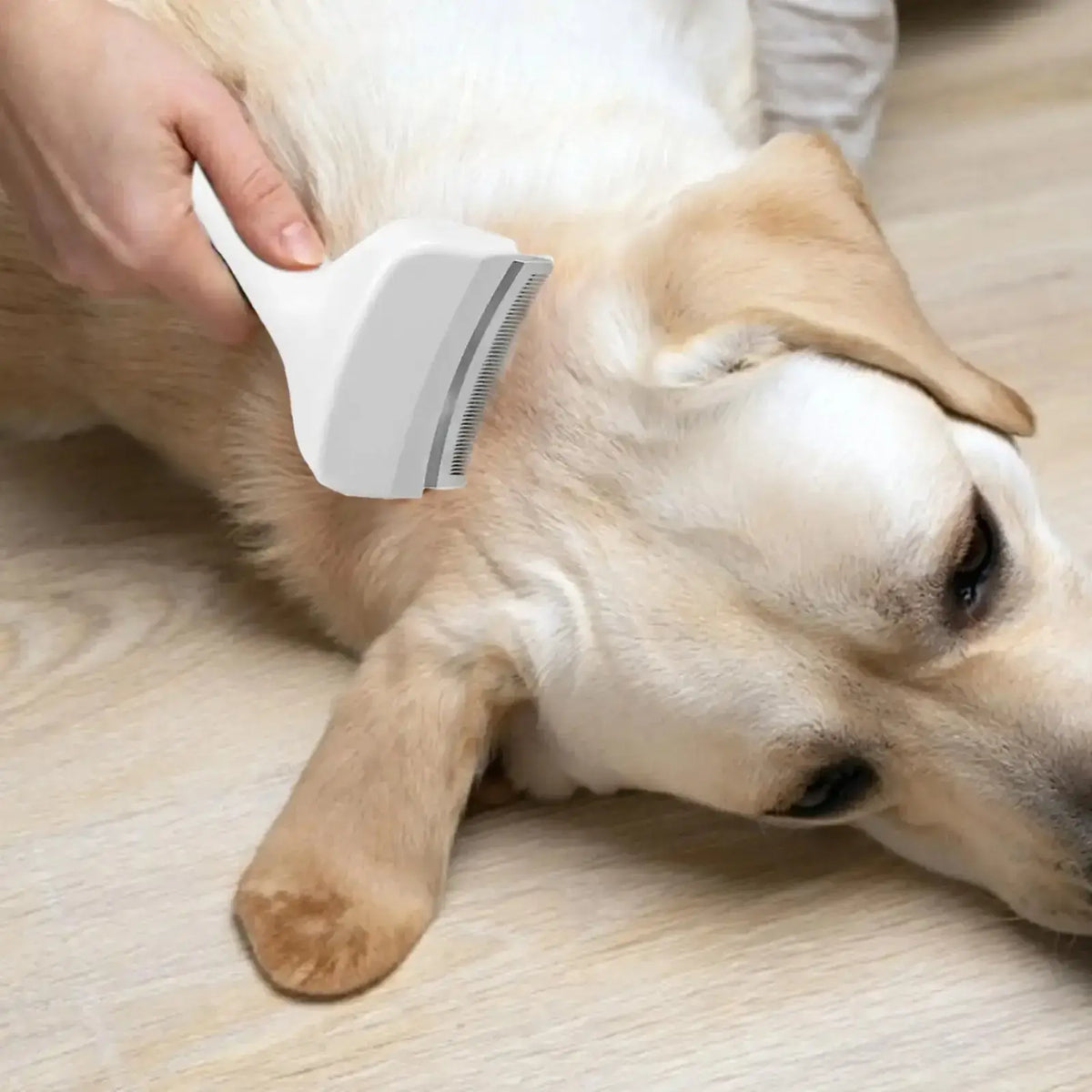 TAILSOFHOME Slicker Brush for Dogs Cats Puppies and Kittens