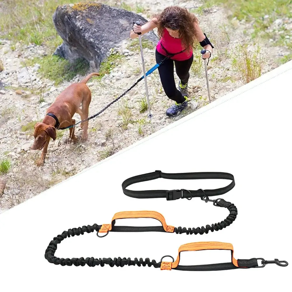 TAILSOFHOME Retractable Hands-Free Reflective Dog Leash