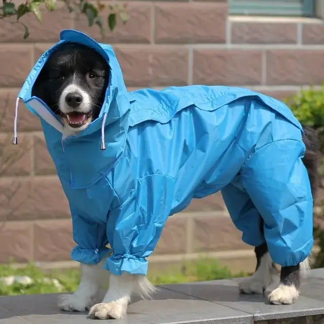 TAILSOFHOME transparent cat carrier backpack for small pets and puppies