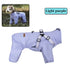 TAILSOFHOME transparent cat carrier backpack for small pets and puppies