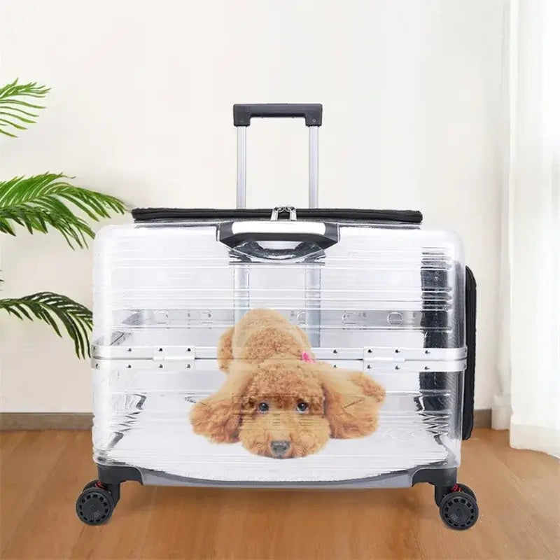 TAILSOFHOME Your Privacy Choices and Data Preferences