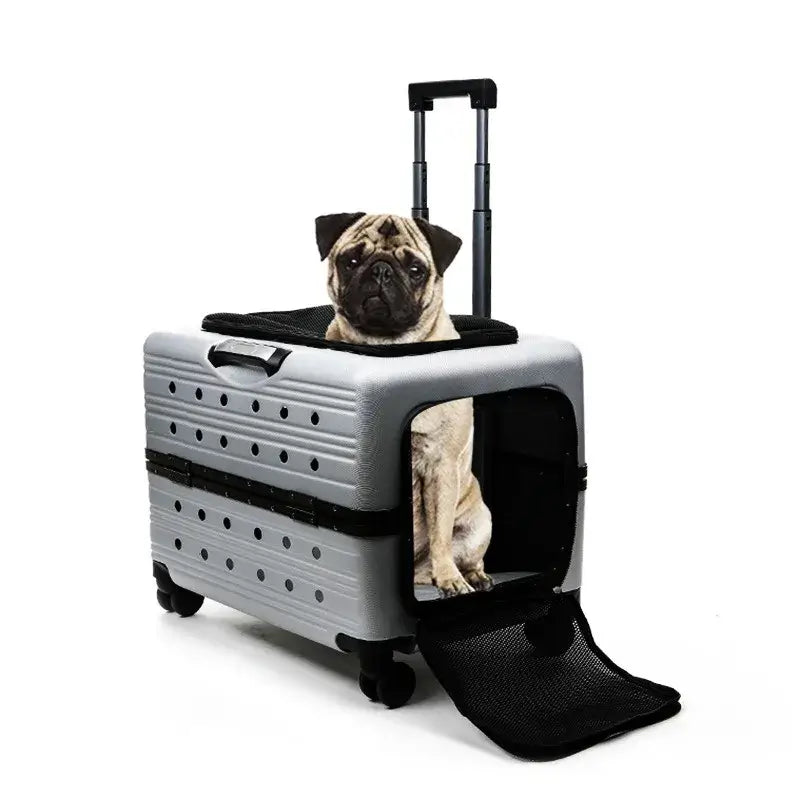 TAILSOFHOME Your Privacy Choices and Data Preferences